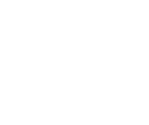 Wales.org logo