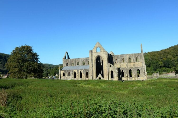 The historic stone ruins of Tintern Abbey set in a vibrant green, grassy meadow in the scenic Wye Valley. The grand Gothic architecture, missing its roof and featuring large arched windows, is framed by a large, leafy green tree to the left and rolling, forested hills in the background, all beneath a clear, bright blue sky.