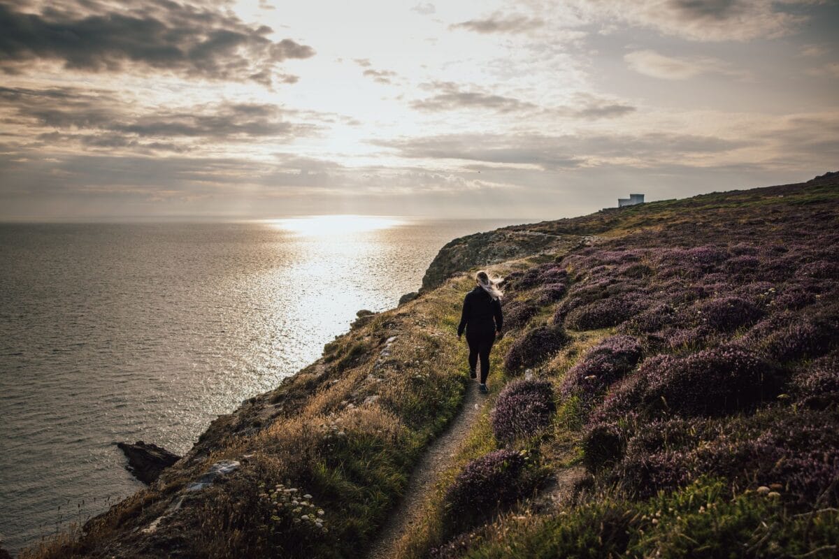 A person walking away from the camera down a narrow dirt trail on a high cliff edge bordered by blooming purple heather. The ocean stretches out below to the left, reflecting the golden light of the sun breaking through the clouds along the Anglesey Coast Path