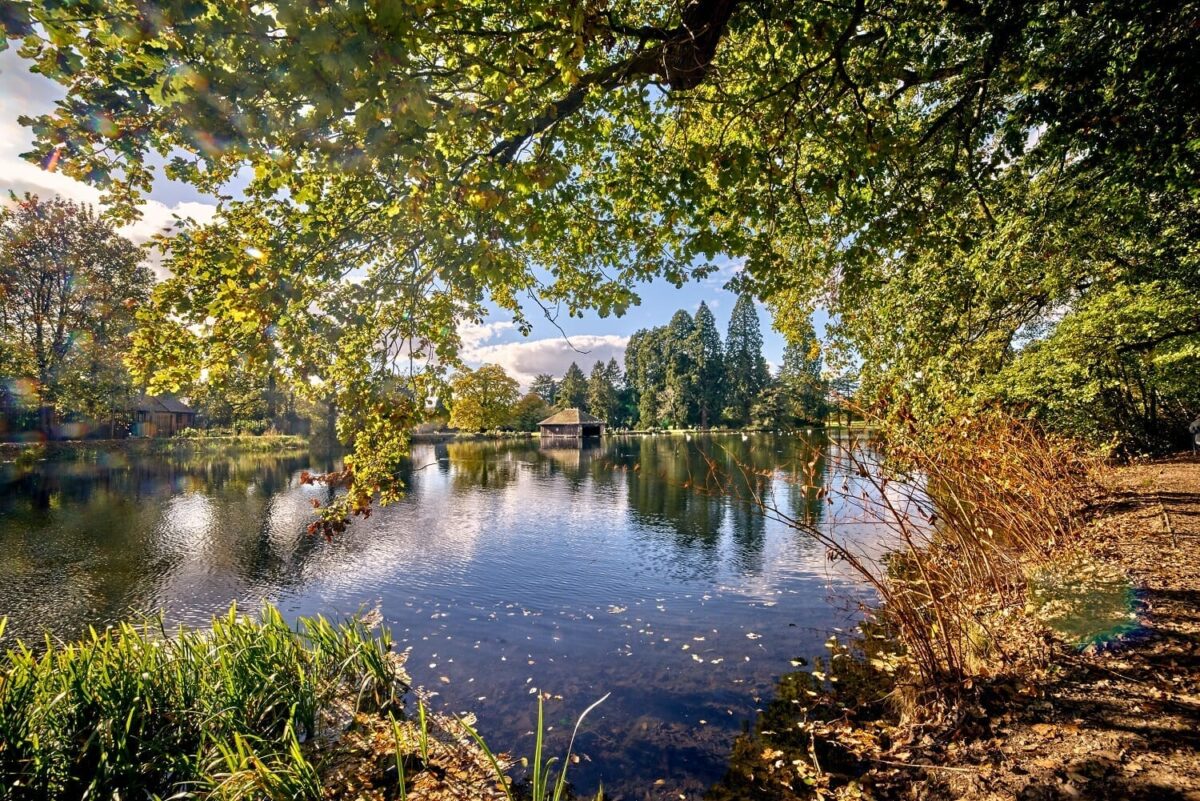 Framed by the overhanging branches of large green trees, a calm lake perfectly reflects the surrounding woodland and a small wooden boathouse in the historic parkland of Tredegar House.
