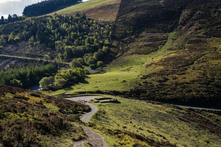 A winding dirt trail leading down a rugged hillside in the scenic Clwydian Range. In the valley below, a curved stone parking area sits next to a lush green meadow dotted with grazing sheep. The beautiful landscape is framed by a dense, dark green forest on one side and steep, heather-covered moorland hills on the other under a partly sunny sky.