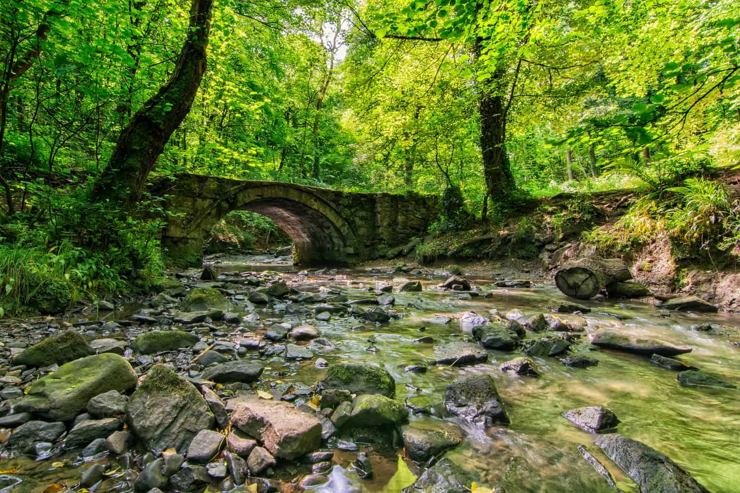 Ewloe Country Park in North Wales - The devil's Basin