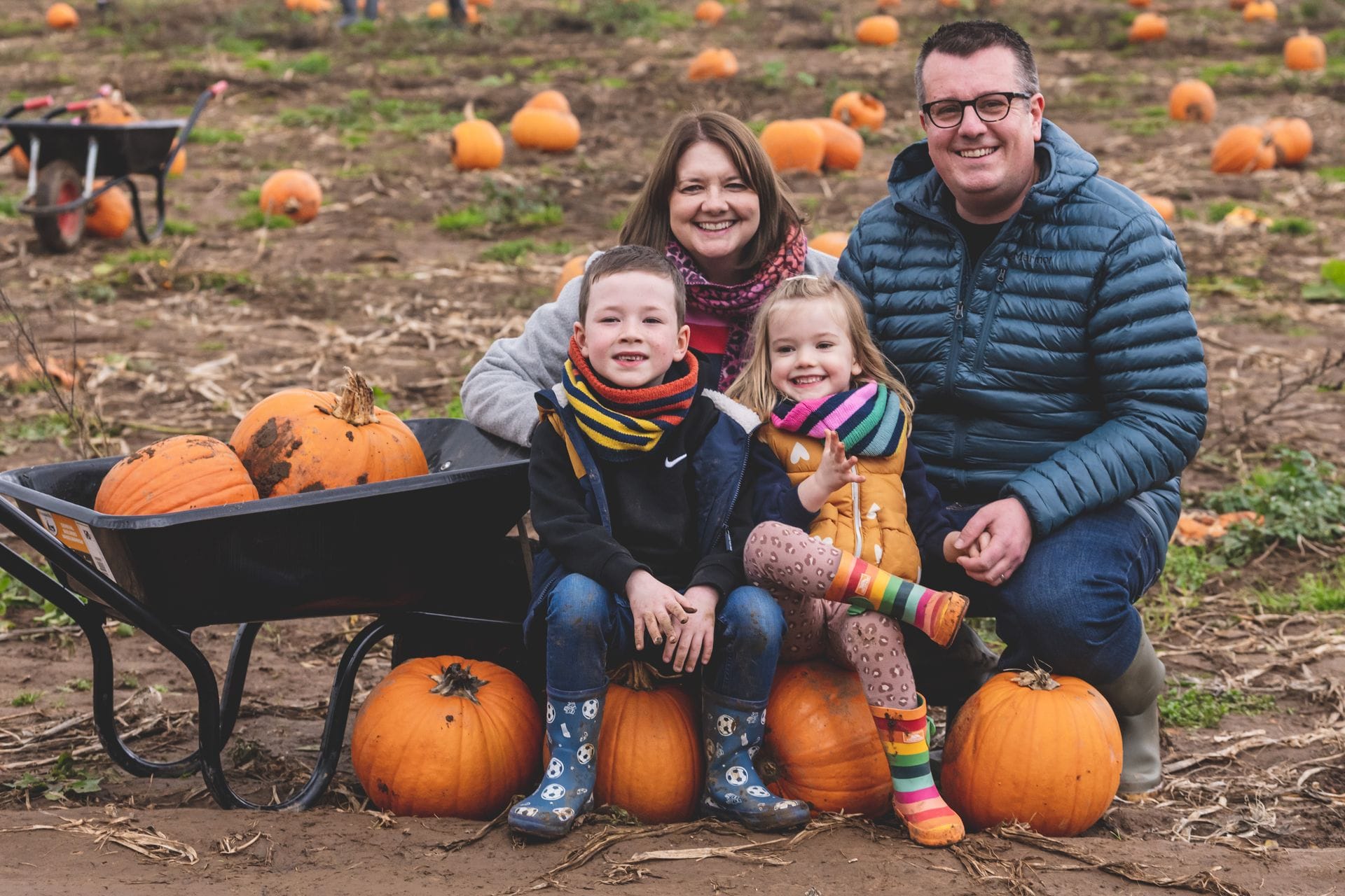 A smiling family of four posing in a muddy pumpkin patch. The parents crouch behind their two young children, who are sitting next to a black wheelbarrow loaded with large orange pumpkins. The family is dressed for the Welsh autumn weather in thick coats, colorful striped scarves, and wellington boots