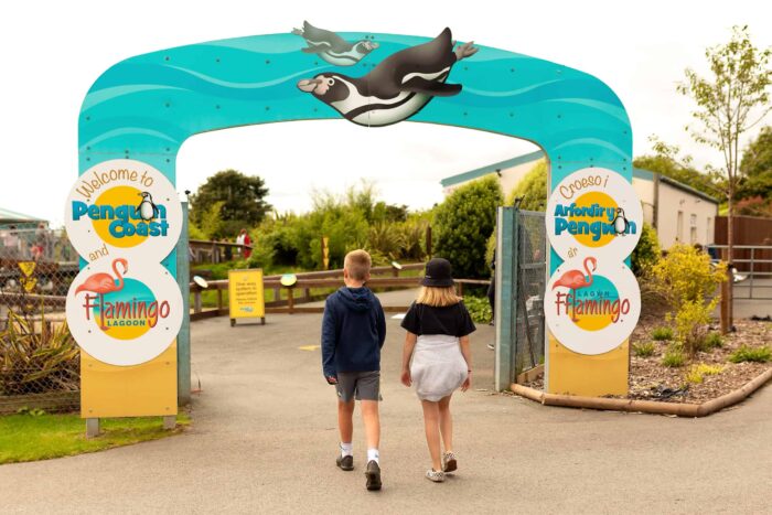 Two children walk under a colourful archway to “Penguin Coast” and “Flamingo Lagoon” at a wildlife park. The scene, reminiscent of exhibits at the best museums in Wales, features cartoon penguins, flamingos, trees, and animal enclosures.