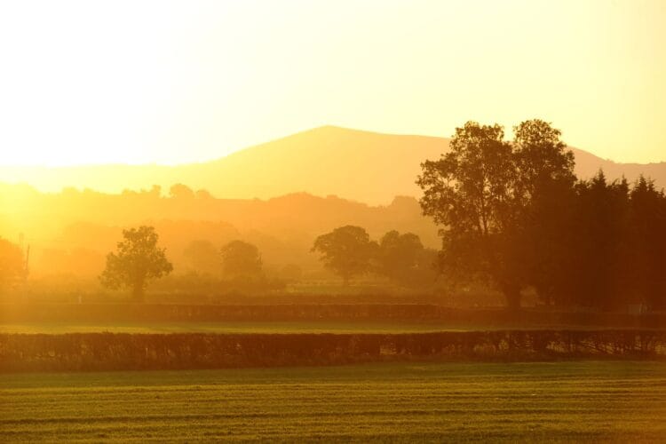 A scenic, atmospheric view of a landscape along the Glyndwr’s Way walk in Mid Wales at sunset. A bright, golden haze fills the air, illuminating a field in the foreground with silhouettes of trees, hedgerows, and rolling hills fading into the distance under the glowing sky.