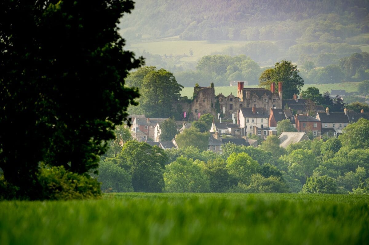 A landscape photo looking across a vibrant green field towards the stone ruins and tall red chimneys of Hay Castle. The historic structure sits above clustered white and brick townhouses, enveloped by dense trees and hazy rolling hills in the background. A dark, out-of-focus tree frames the left foreground.