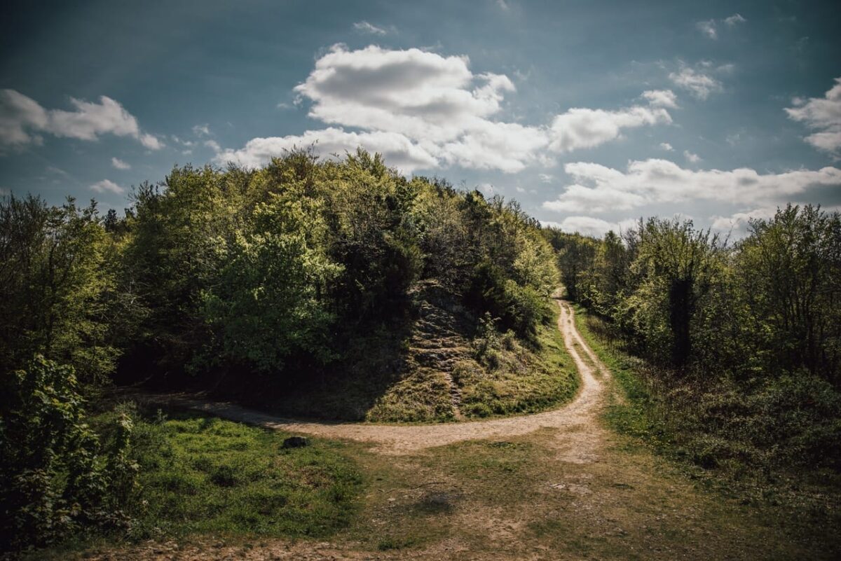 A dirt trail splits into two paths around a densely wooded hill under a bright, cloudy sky, highlighting the rugged natural terrain found when mountain biking North Wales.