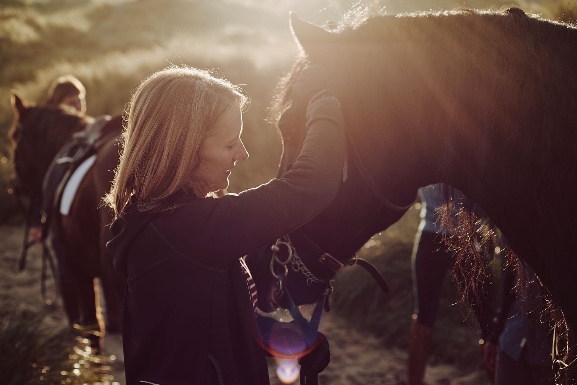 A smiling woman affectionately petting the face of a dark horse, beautifully backlit by warm, golden sunlight. In the softly blurred background, another rider sits on horseback, capturing a peaceful moment enjoying an outdoor trail ride.