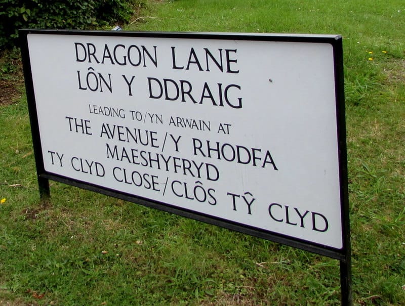 A large, white rectangular street sign with a black border standing on a grassy verge. The sign displays bilingual street names in black text, with the English