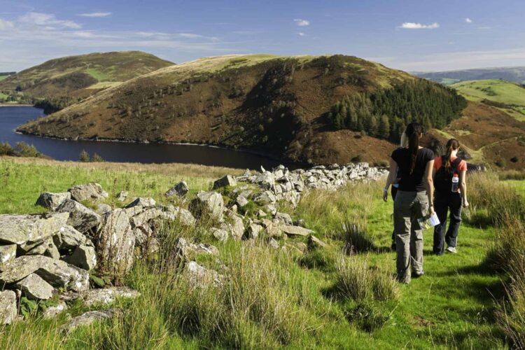 A scenic view of two hikers walking away from the camera along a vibrant green grassy hillside beside a low, rustic stone wall. Below them, the expansive, dark blue waters of Llyn Clywedog reservoir are nestled among steep, rolling hills covered in patches of forest and moorland under a bright, partly cloudy blue sky.
