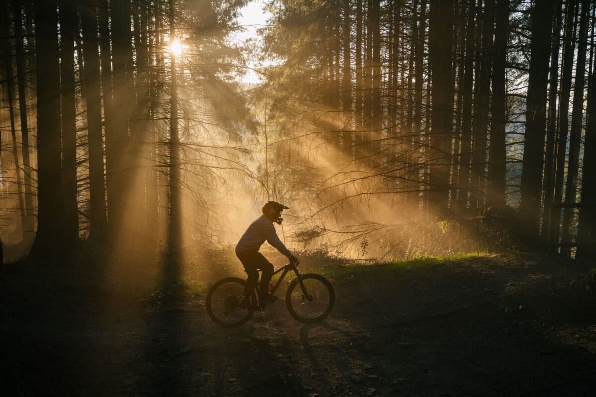 Silhouette of a cyclist mountain biking North Wales trails through a dense pine forest illuminated by golden morning sunbeams.
