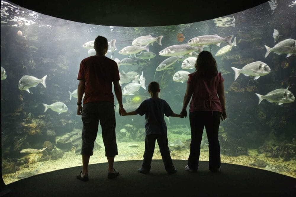 Young family (father and two daughters with large sealife aquarium) Anglesey Sea Zoo Brynsiencyn Anglesey North
