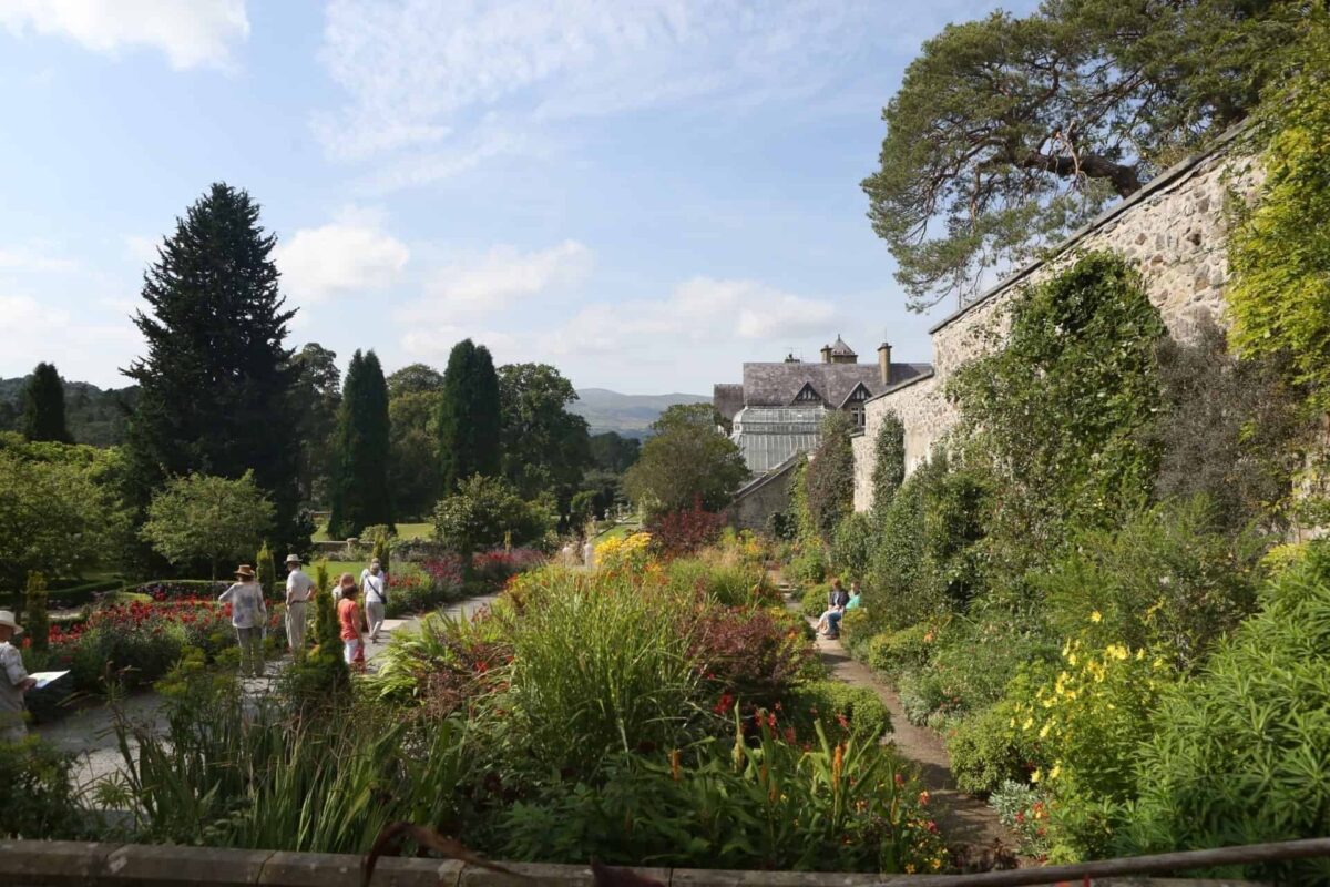 A bright, sunny day at Bodnant Garden in Conwy. People are strolling past colourful botanical displays and a high, ivy-covered stone wall, with the grand historic estate house visible in the background.