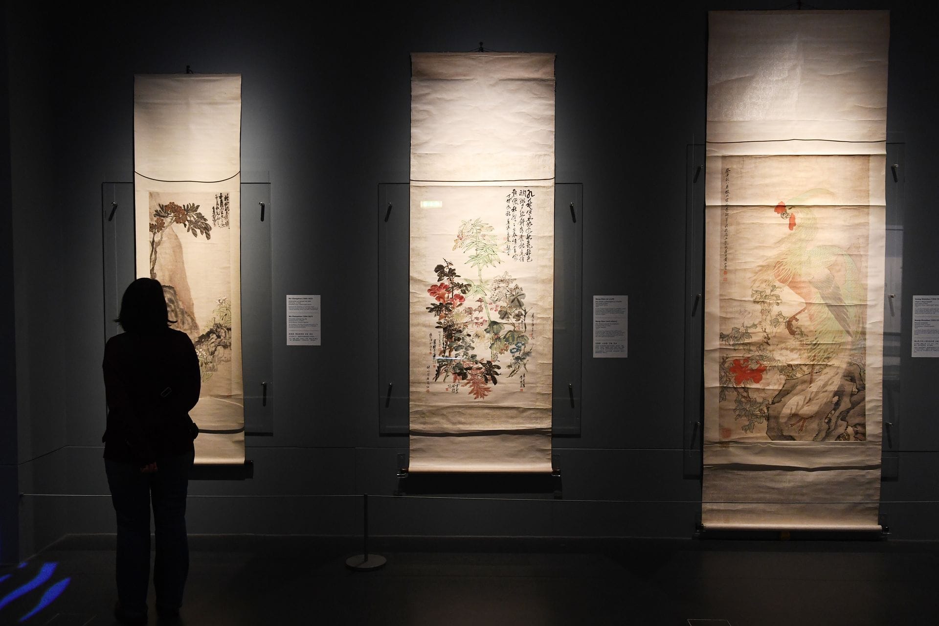 A silhouette of a visitor standing in a dimly lit exhibition room, admiring three large, illuminated vertical scroll paintings displayed on a dark wall at the National Museum Wales in Cardiff.