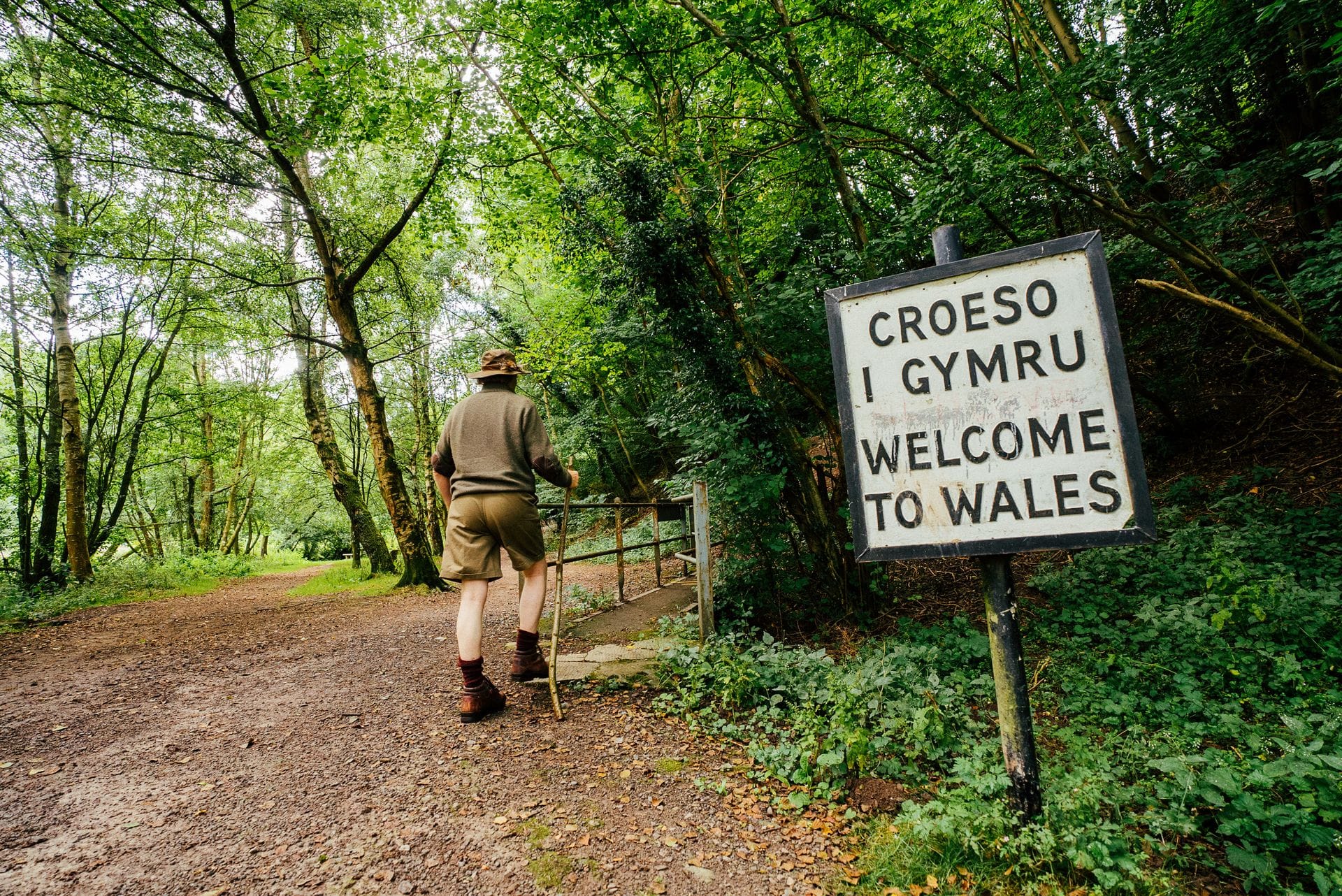 A close-up photograph of a wooden fingerpost signpost along the Offa's Dyke Path National Trail, displaying bilingual text in Welsh and English alongside the traditional acorn trail symbol, set against a soft-focus background of green Welsh countryside.
