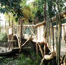 A rustic wooden bridge walkway surrounded by lush green tropical foliage inside Plantasia Tropical Zoo