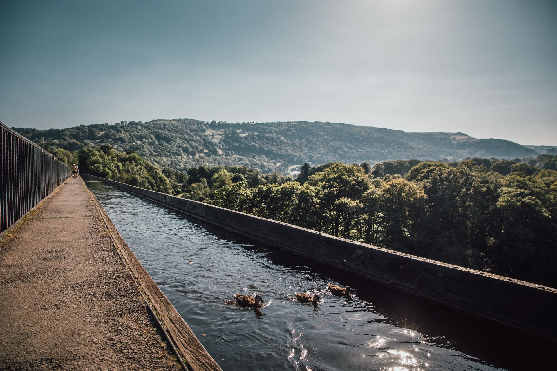 A scenic view looking down the length of the historic Pontcysyllte Aqueduct near Llangollen. Three small ducks swim in the narrow canal water beside a paved walking path. The high aqueduct offers a stunning vantage point, overlooking a deep, lush green valley and rolling forested hills under a bright sky.