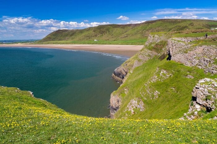 A scenic view of a grassy cliff overlooking Rhossili Bay’s curved sandy beach and blue sea, with rolling green hills and a partly cloudy sky in the background. Yellow wildflowers bloom on the cliff’s edge.
