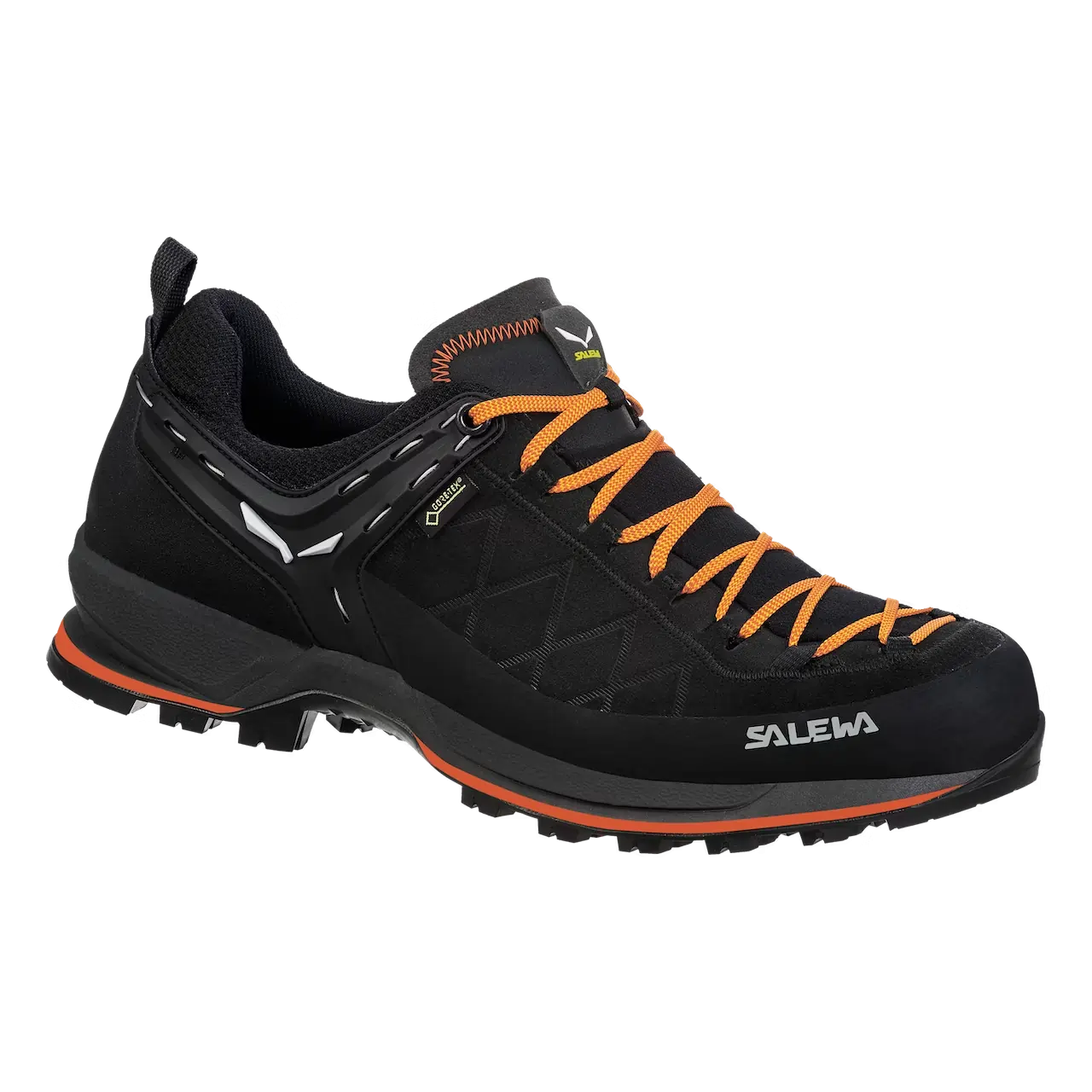 Salewa Men's Ms Mountain Trainer Gore-tex Trekking & Men's Hiking Shoes