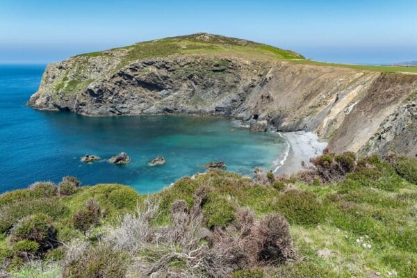 A grassy cliff overlooks a secluded rocky cove with clear turquoise water—perfect for sea fishing in Wales—and a small sandy beach, all set against a vivid blue sky.