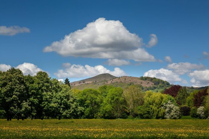 A grassy field with yellow wildflowers, bordered by lush green trees, stands in front of Skirrid Mountain under a blue sky with scattered white clouds.