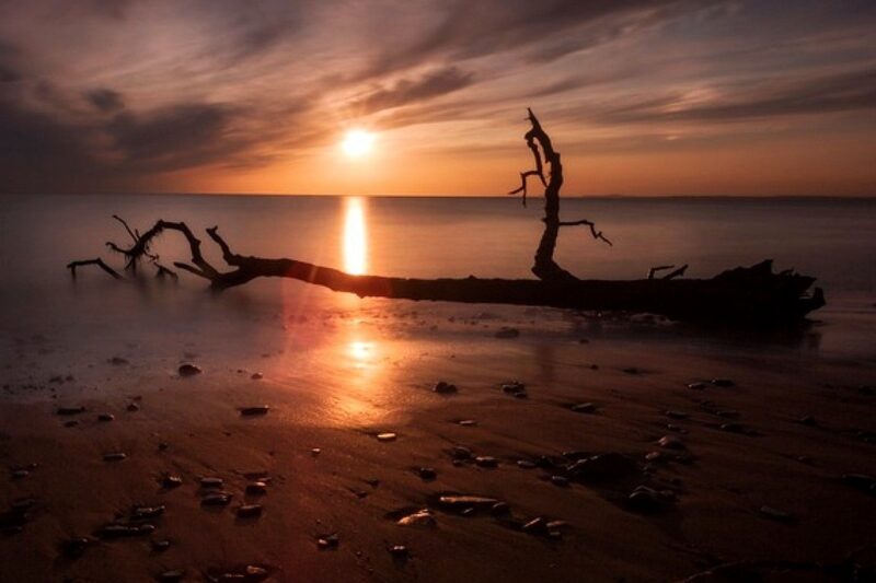 A dramatic golden sunset reflecting on the wet sand of a quiet Welsh beach, featuring the dark silhouette of a weathered piece of driftwood in the foreground.