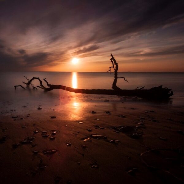 Sunset and driftwood on Sker Beach near Porthcawl