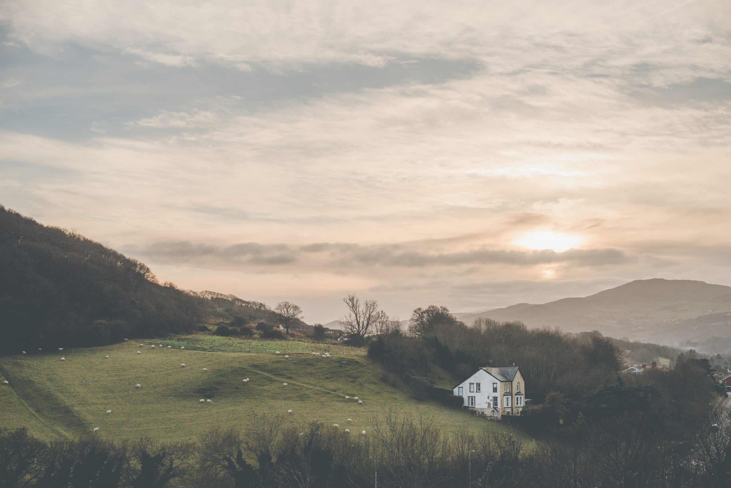 A hazy, atmospheric landscape view looking out over a sloping green pasture dotted with grazing sheep. A solitary white house sits near the bottom of the field, nestled against dark, rolling hills under a cloudy sky with the sun glowing faintly through the overcast.