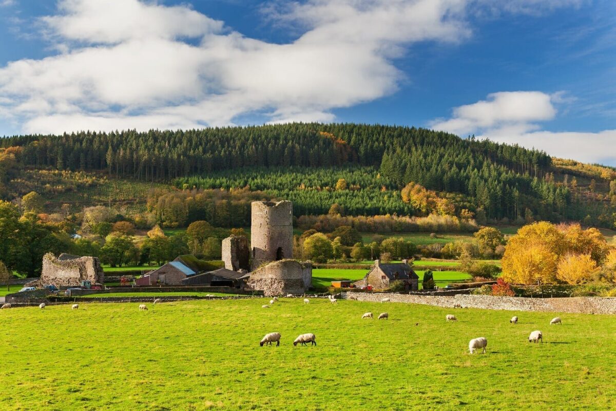 A scenic view of the stone ruins of Tretower Court and Castle on a bright, partly cloudy day. A prominent medieval round tower stands in the center, surrounded by lush green farmland with grazing sheep and a backdrop of dense, forested hills.