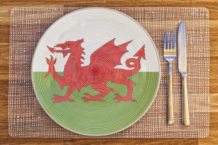 A plate with the Welsh dragon flag design sits on a placemat, with a fork and knife placed to the right. The dragon is red, with a white and green background on the plate.