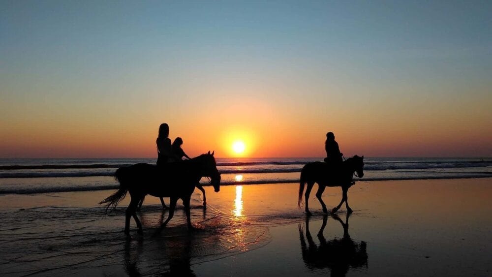 horse riders on the beach at sunset and you can see the reflection of the horses on the sand