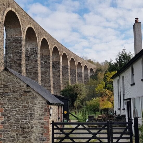 Image thumbnail