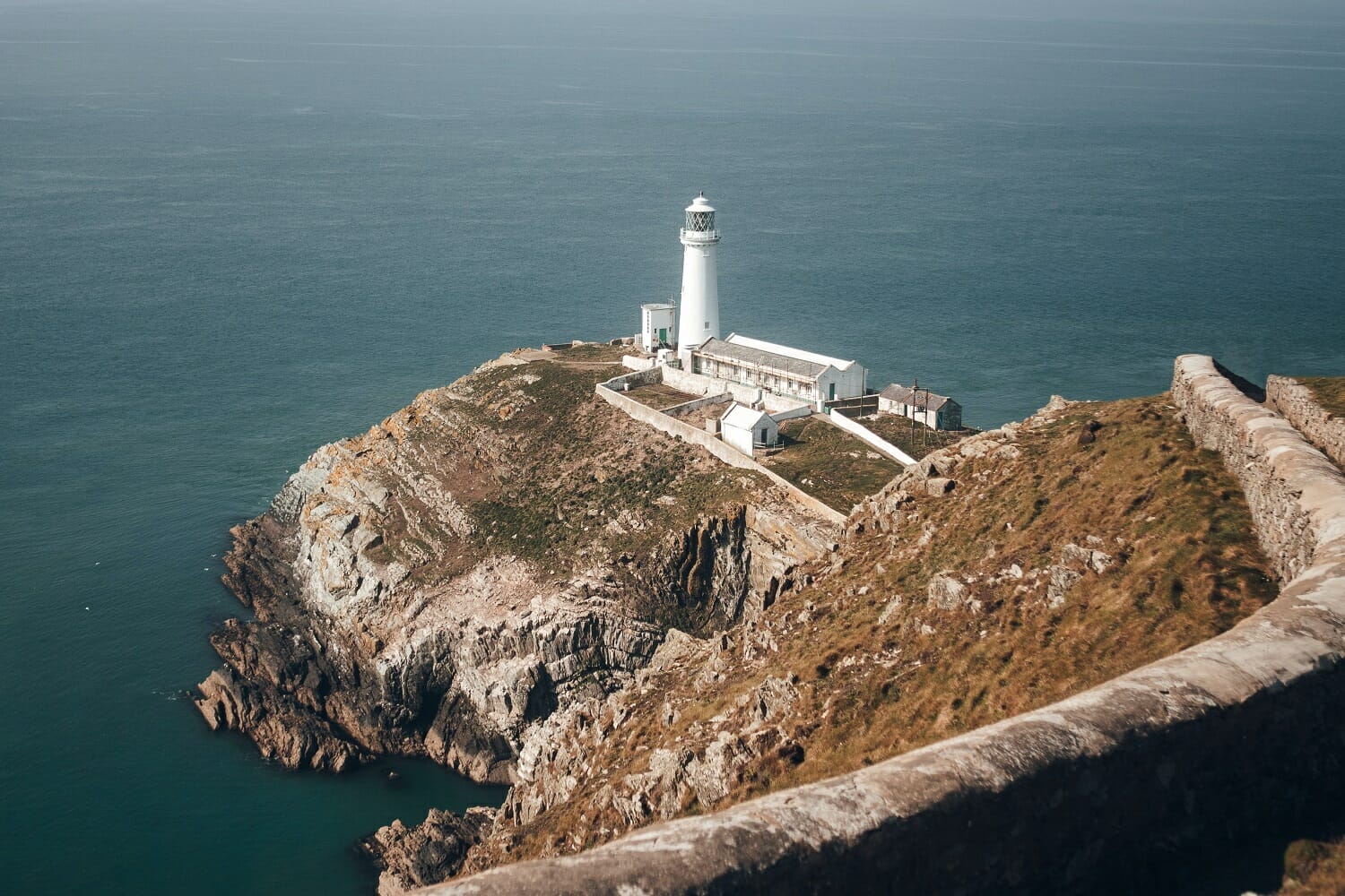 Wildlife in Wales at Holyhead, Anglesey