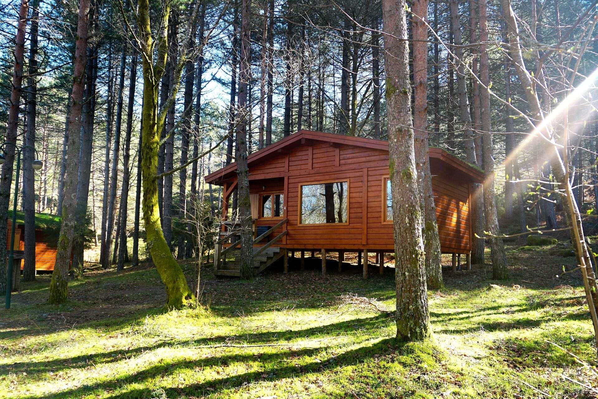 A timber-clad log cabin in a Welsh woodland clearing with a small wooden deck, large windows and a stone path leading to the door