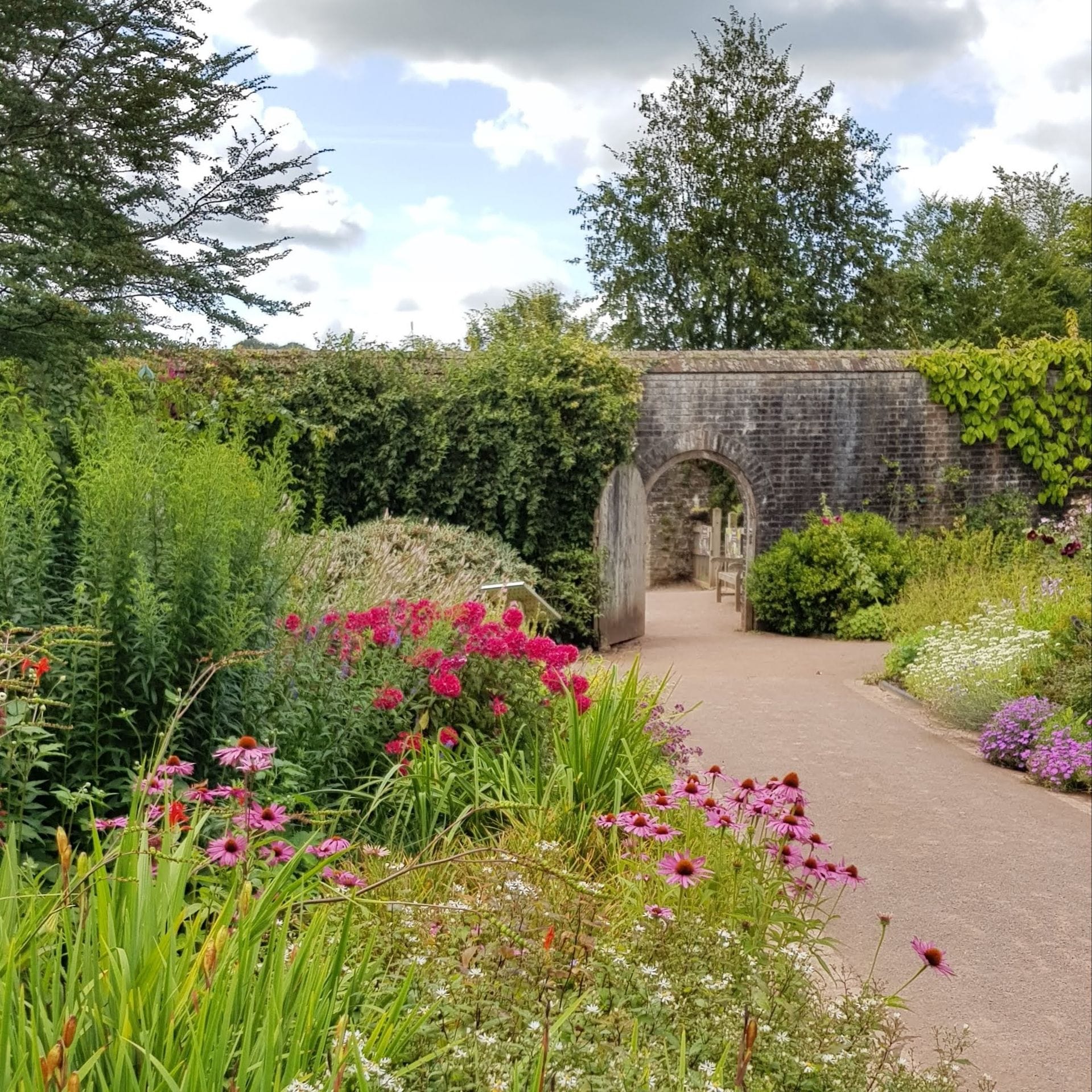 Lush greenery, Mediterranean plants, and winding visitor pathways inside the vast Great Glasshouse at the National Botanic Garden of Wales.