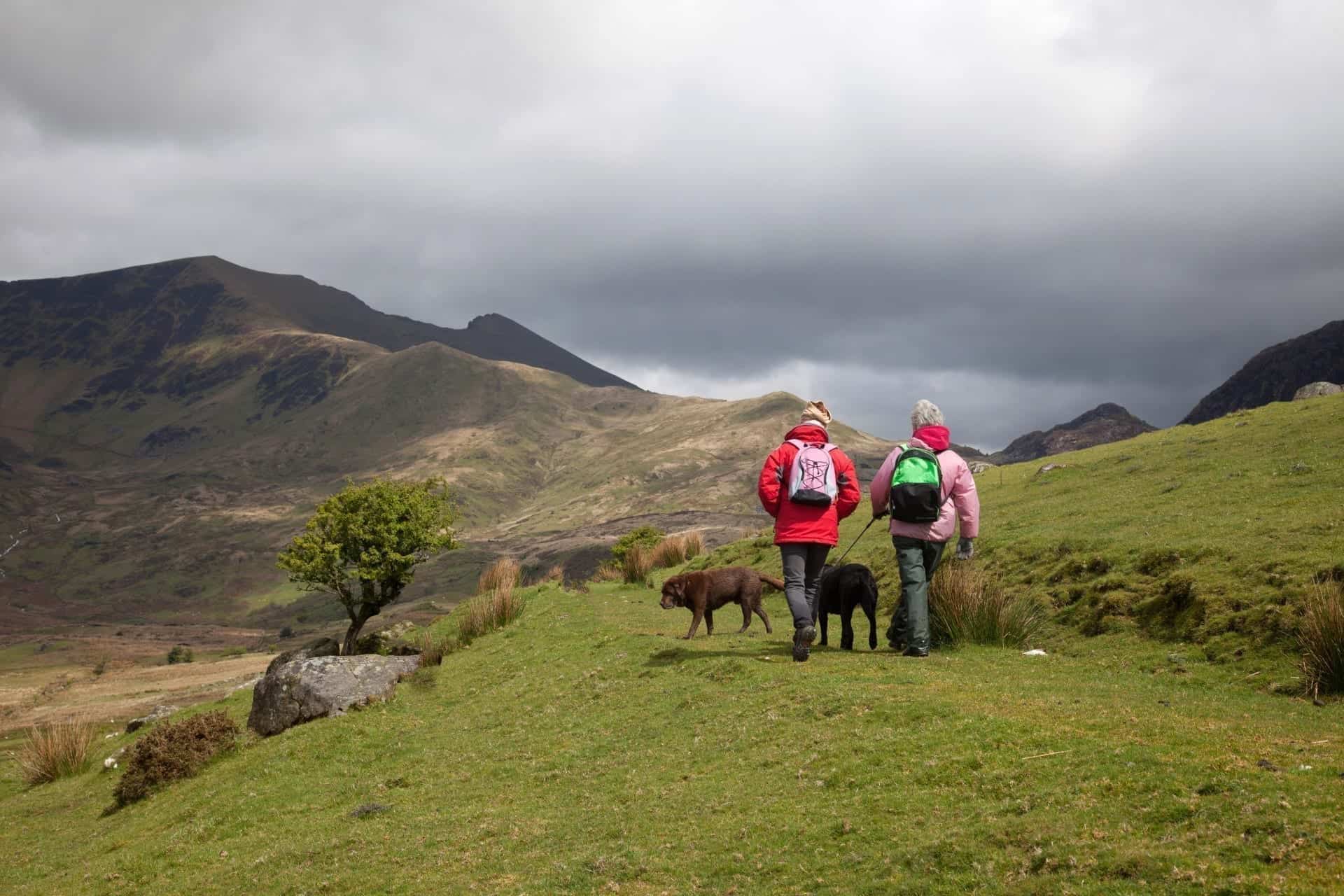 2 dog walkers on Conwy Mountain