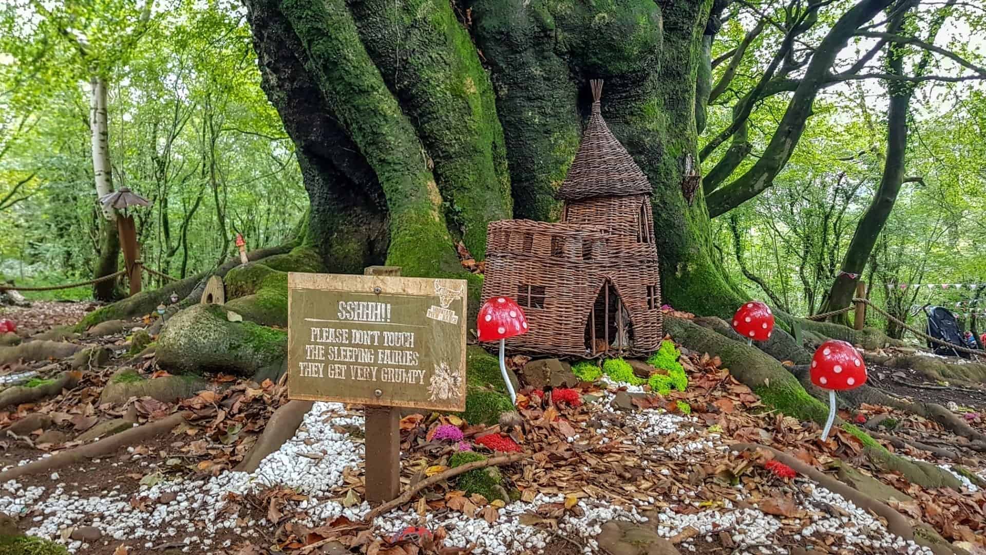 Fun Things to Do in Wales for Teenagers, Kids & Toddlers - mountain view ranch