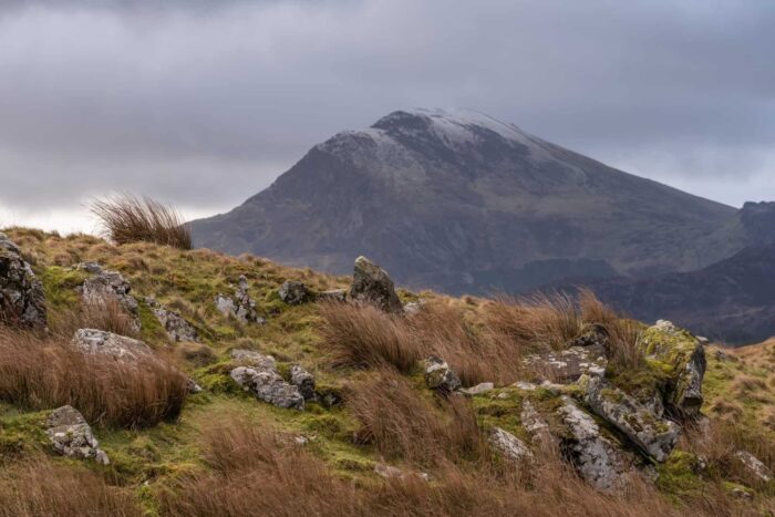 A grassy, rocky hillside in the foreground with tufts of tall brown grass hints at the rugged beauty of North Wales walks, while a large, cloud-covered mountain rises in the background under a gloomy sky.