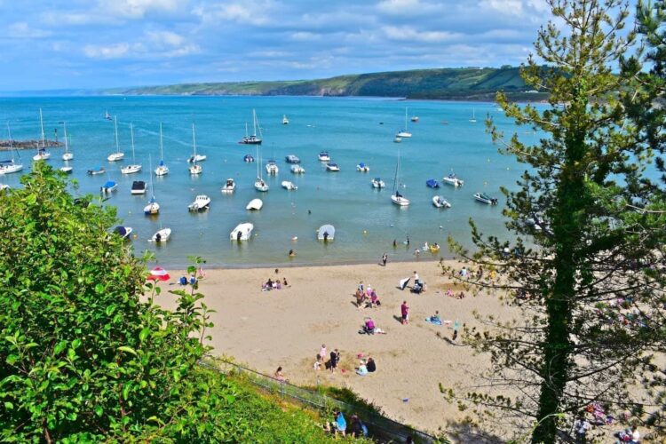 A high-angle, scenic view looking through green trees down onto a sunny beach in Newquay, Ceredigion. People are relaxing on the sand, while the bright, calm blue waters of the bay are dotted with numerous small white moored boats and yachts. The picturesque coastline features a stone breakwater and rolling green hills under a partly cloudy blue sky.