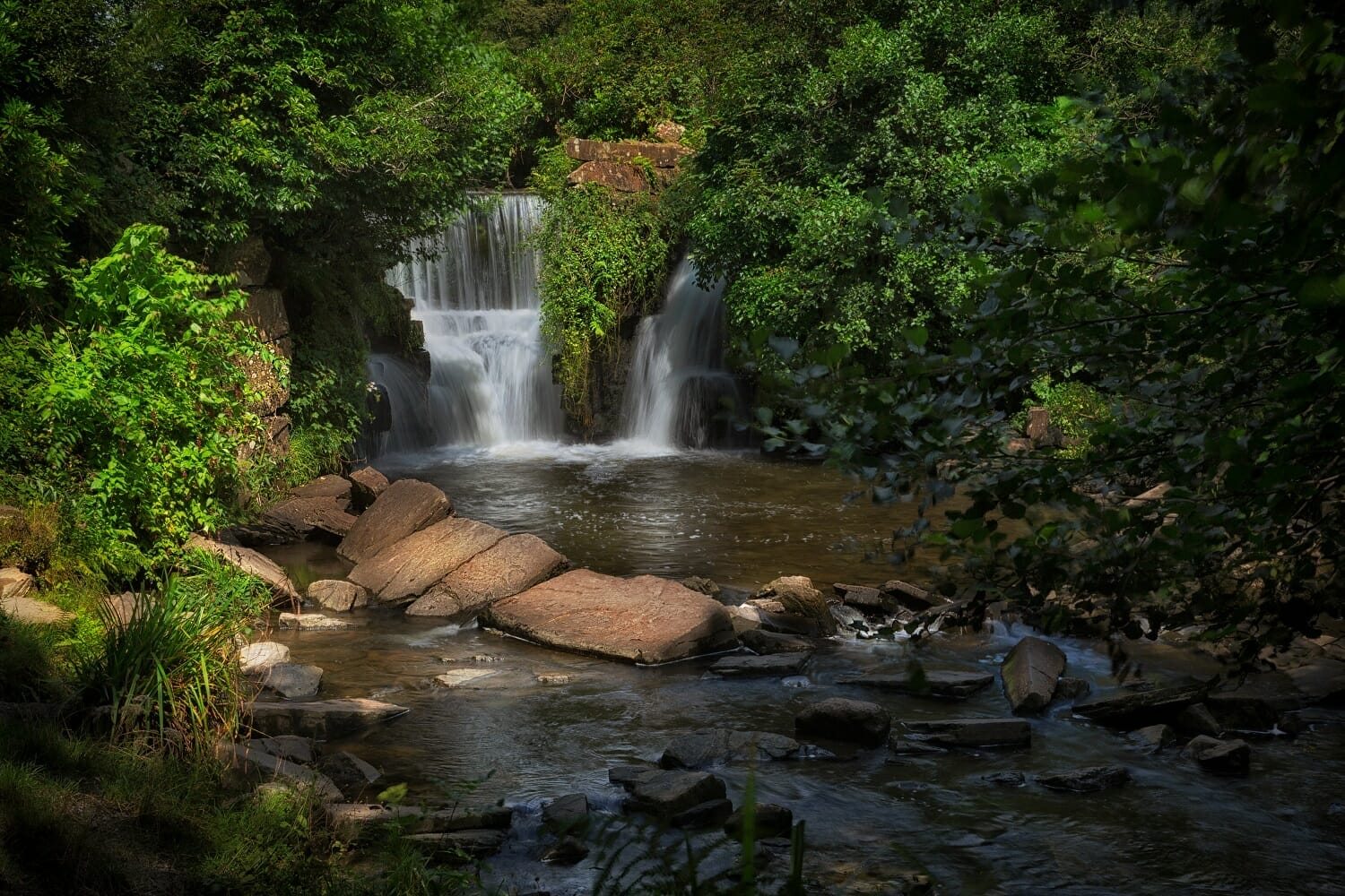 Penllergare Valley Woods wildlife hotspot in wales