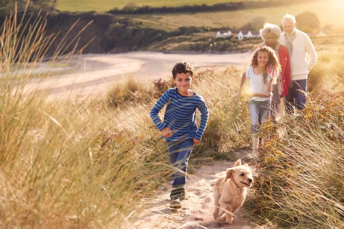 A family walking a small dog through tall beach grasses near a sandy shore during beautiful, sunny family days out on the beach in Wales
