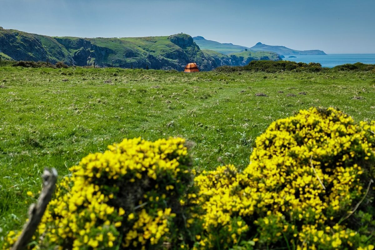 A scenic coastal camping view showing a bright orange tent set up on a lush green field right at the edge of coastal cliffs, looking out over the ocean on a sunny day near Tenby.