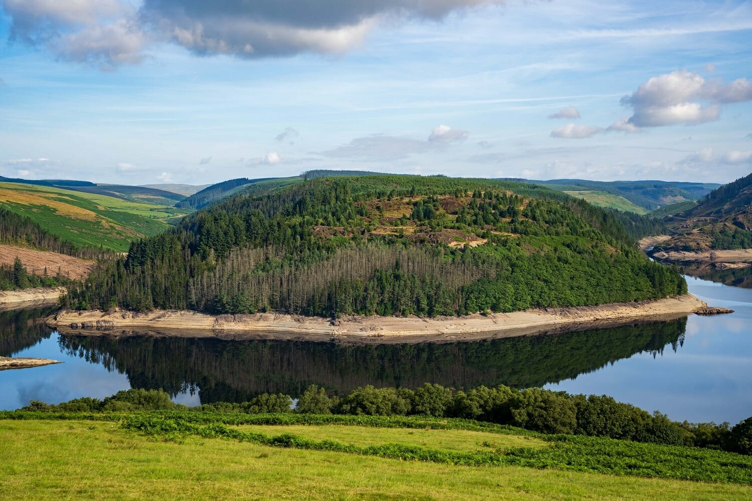 Llyn Brianne Reservoir with welsh wildlife