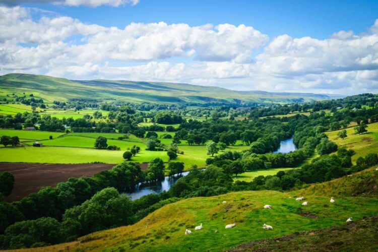 A picturesque, panoramic view of the Wye Valley on a sunny day. In the foreground, white sheep graze on a bright green hillside. Below, a calm blue river meanders through a lush, expansive valley filled with patchwork green fields, hedgerows, and dense clusters of trees. In the distance, rolling hills stretch out beneath a bright blue sky dotted with fluffy white clouds.