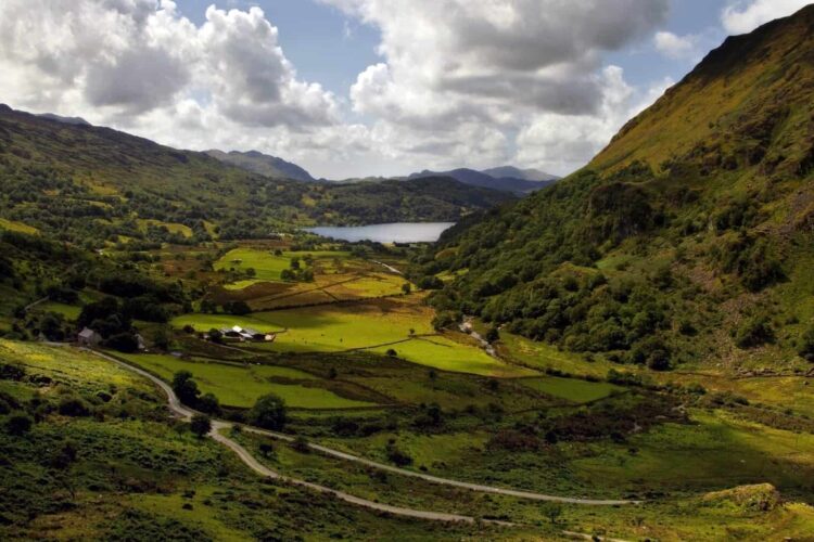 A lush green valley with scattered trees and fields, surrounded by hills and mountains in Powys, with a lake visible in the distance under a partly cloudy sky.