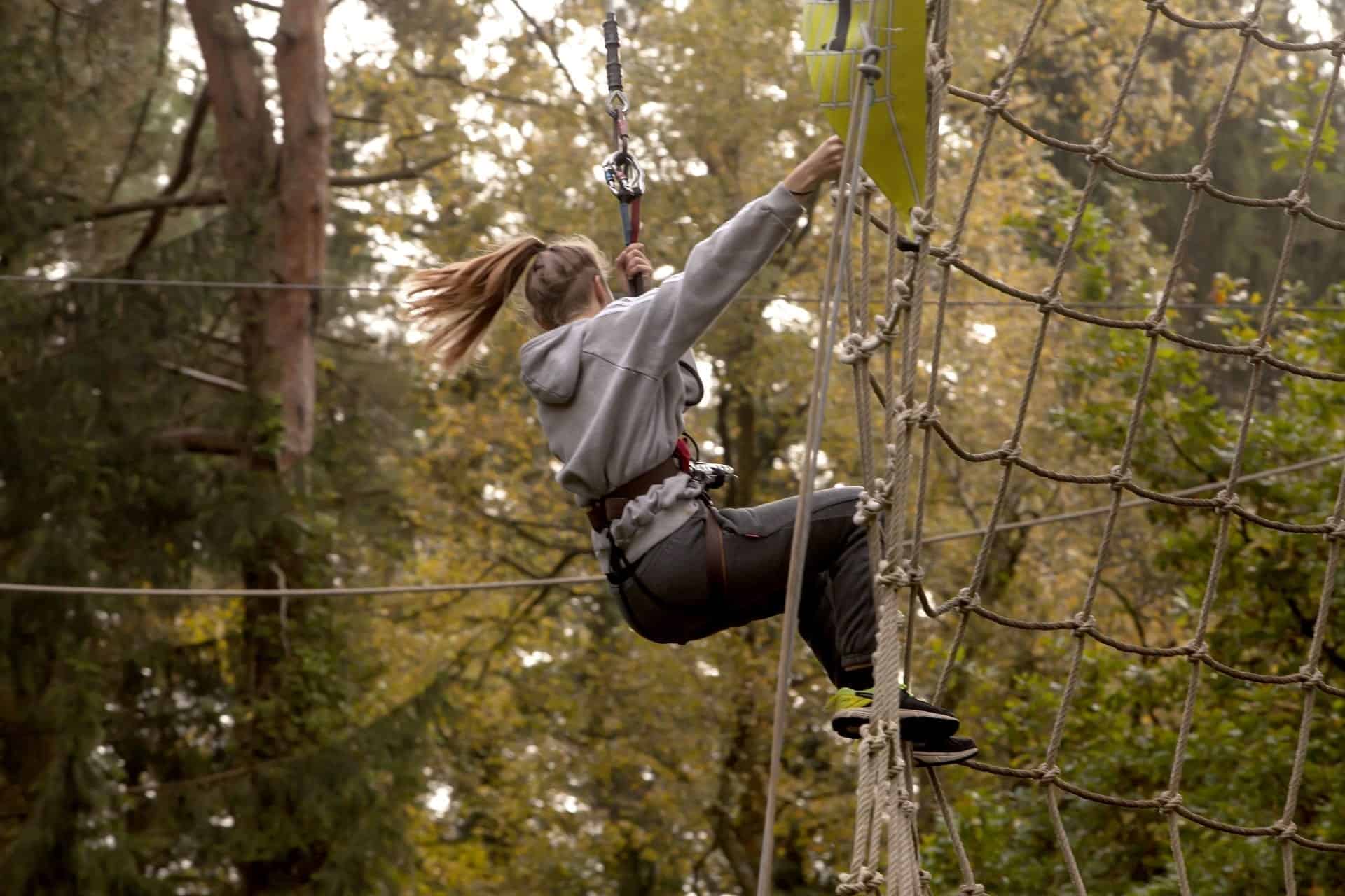 a stimulating obstacle course in the trees