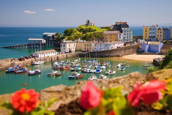 Looking down over a stone wall with out-of-focus pink summer flowers towards Tenby Harbour. The harbour is filled with small fishing and leisure boats, surrounded by a sandy beach, colourful historic townhouses, and a lush green headland under a clear blue sky.