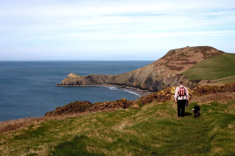 A person with a pink rucksack walks a black dog along the Wales coastal path overlooking cliffs and the sea under a clear sky, capturing the best of hiking in Wales has to offer.