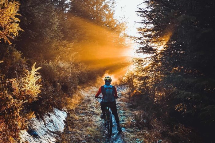 A person wearing a helmet and rucksack rides a bike down a mountain bike trail in Snowdonia, illuminated by golden sunlight streaming through the trees, creating a warm and peaceful atmosphere.