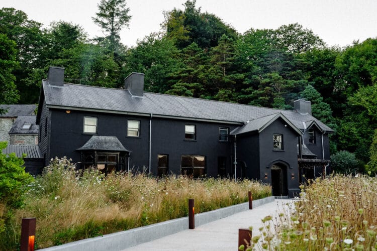 A large, modern black building with several windows and chimneys sits surrounded by tall grass and trees
